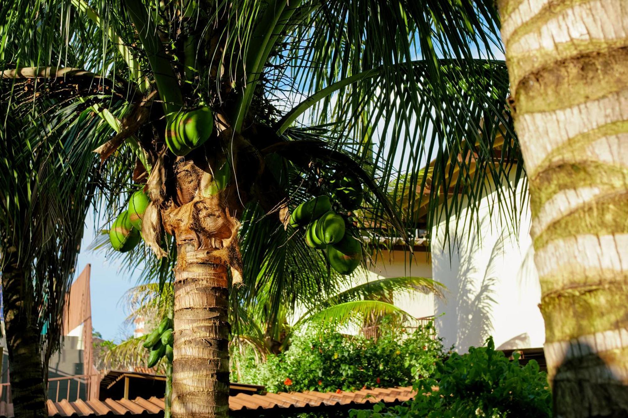 Velinn Hotel Natureza Foz Foz do Iguaçu Buitenkant foto